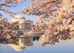 10 trải nghiệm cho người lần đầu đến Washington DC