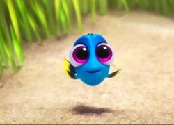 6 bài học về cuộc sống mà "Finding Dory" mang lại cho khán giả