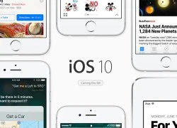 Apple giải thích lý do tung ra bản iOS 10 beta 'kém bảo mật'