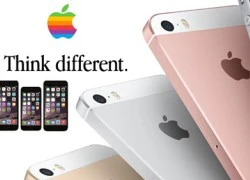 Apple không cần thay đổi vì người dùng quá trung thành