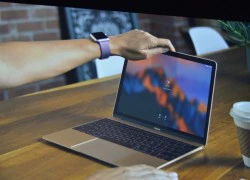 Apple ra mắt macOS Sierra: Tự động đăng nhập, thêm Siri