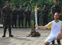 Báo đốm bị giết trong lễ rước đuốc Olympic ở Brazil