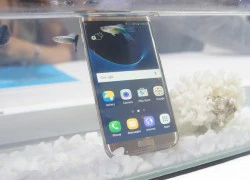 Bộ đôi Galaxy S7 sắp phá kỷ lục 25 triệu máy