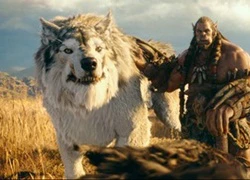 Cẩm nang "WarCraft" dành cho người mới bắt đầu