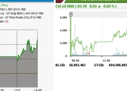 Chứng khoán khởi sắc, VN-Index tăng hơn bốn điểm