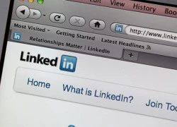 Danh sách tài khoản LinkedIn bị chia sẻ công khai