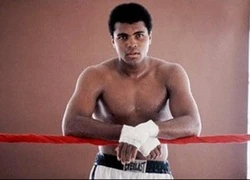 Dấu ấn của huyền thoại quyền anh Muhammad Ali trên màn bạc