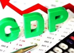 Dự kiến năm 2017 GDP Việt Nam tăng 6,8%