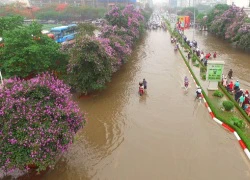 Hà Nội ngập nặng vì nhiều khu đô thị lấn chiếm ao hồ?