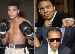 Huyền thoại boxing Muhammad Ali phải dùng máy thở