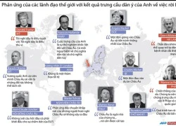 [Infographics] Phản ứng của lãnh đạo các nước về Brexit