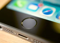 iPhone 7 dùng nút Home Force Touch thay nút truyền thống?