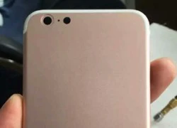 iPhone 7 vàng hồng lộ diện mặt lưng