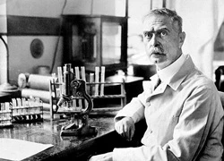 Karl Landsteiner &#8211; Nhân vật trên trang chủ Google là ai?