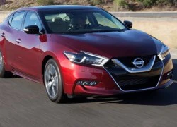 Nissan Maxima 2017: Thêm nhiều lựa chọn nâng cấp