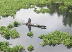 Ô nhiễm đảo lộn cuộc sống ven sông Vàm Cỏ Đông