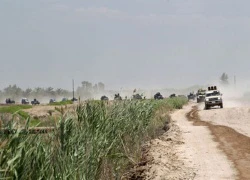 Quân đội Iraq giành lại một phần thành phố Fallujah từ IS