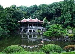 Shinjuku Gyoen - công viên rừng hoa tuyệt đẹp ở Tokyo