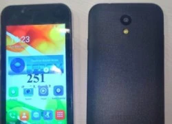 Smartphone 4 USD Freedom 251 xuất hiện trở lại, lên kệ 30/6