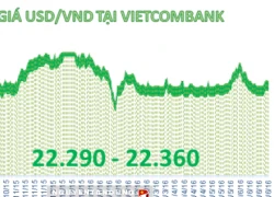 Tiền đồng tiếp tục giảm giá mạnh so với USD