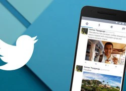 Twitter khóa hàng triệu tài khoản sau vụ rò rỉ dữ liệu