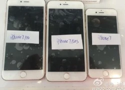 Ảnh rõ nét đầu tiên về iPhone 7 Pro, Plus và iPhone 7