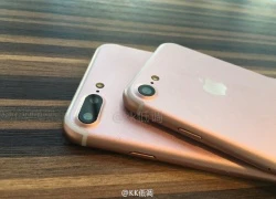 Ảnh so sánh bộ đôi iPhone 7 và 7 Pro sắp ra mắt