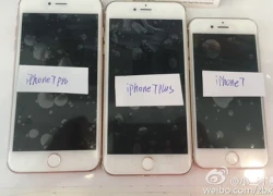 Apple sẽ có một năm khó khăn với iPhone