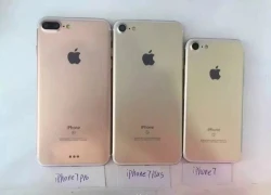 Apple sẽ trình làng iPhone 7 vào giữa tháng 9