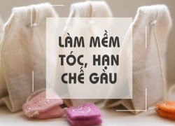 Bạn sẽ không bao giờ vứt trà túi lọc đi nữa khi biết công dụng trị mụn, mượt tóc của nó