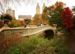 Bí mật về công viên Central Park ở New York