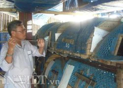 Bí quyết nuôi trăn nhanh lớn không phải ai cũng biết