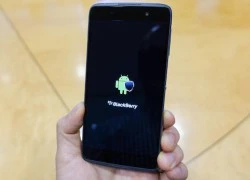 BlackBerry và ván bài Android giá rẻ từ Trung Quốc