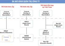 Bỏ Ban kiểm soát, ai sẽ giám sát hoạt động của doanh nghiệp?