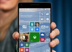 Cắt giảm nhân sự, Microsoft có thể khai tử Windows Phone