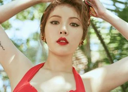 Cô gái sexy nhất hè 2016 trong K-Pop