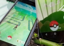 Được du lịch miễn phí để hoàn tất bộ sưu tập Pokemon GO