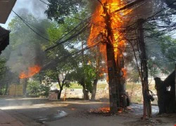 Hà Nội: Cột điện bất ngờ bốc cháy ngùn ngụt giữa trời nắng gắt