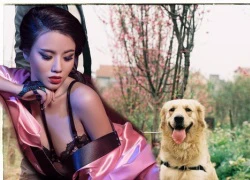 Hot girl thất bại trước linh cảm của 4 thánh dự chó, gà, chim, cá