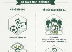 Infographic: Tổ chức cá độ bóng quy mô lớn bị xử thế nào?