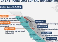 [Infographics]: Quá trình "truy tìm" nguyên nhân cá chết của các nhà khoa học