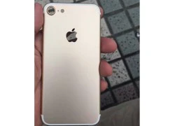 iPhone 7 có dung lượng pin lớn hơn iPhone 6S