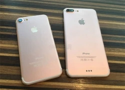 iPhone 7 có thể cho đặt hàng từ ngày 9/9