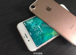 iPhone 7 lần đầu lộ ảnh màn hình sáng