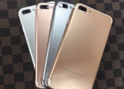 iPhone 7 Pro với camera kép tiếp tục lộ ảnh