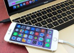 iPhone đột ngột bị khóa Apple ID sau khi lên iOS 10 beta