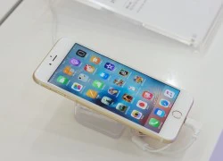 iPhone tại Việt Nam vào mùa ế ẩm nhất trong năm