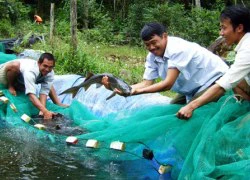 Khẳng định vai trò của KHCN trong nông nghiệp