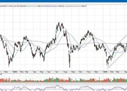 Kỳ vọng nhịp hồi của VN-Index