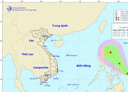 Năm nay sẽ còn đón 7-9 cơn bão nữa